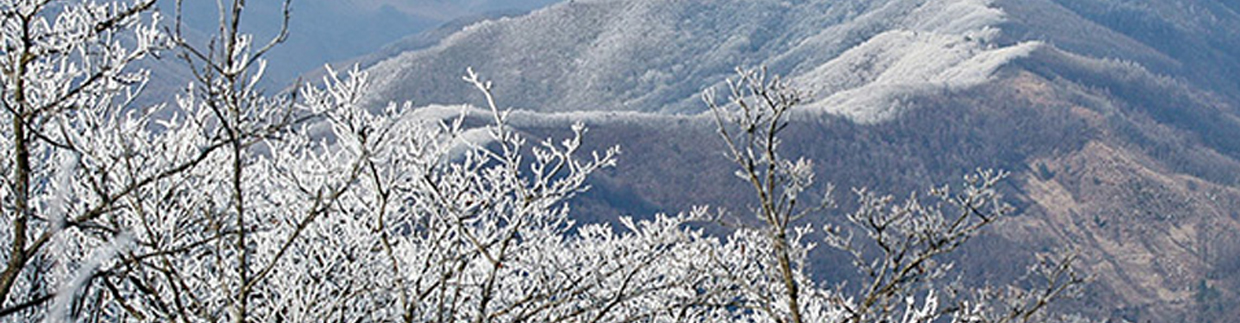 팔공산