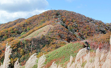 장안산군립공원