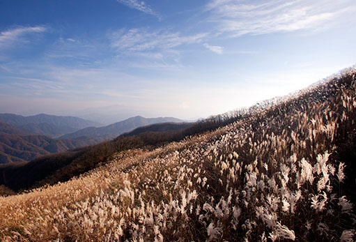 장안산 군립공원