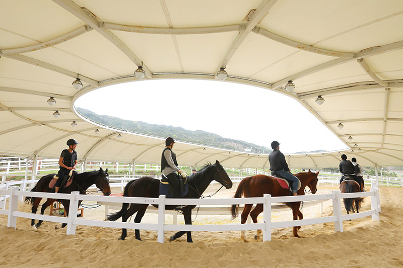 Trung tâm trải nghiệm cưỡi ngựa Jangsu