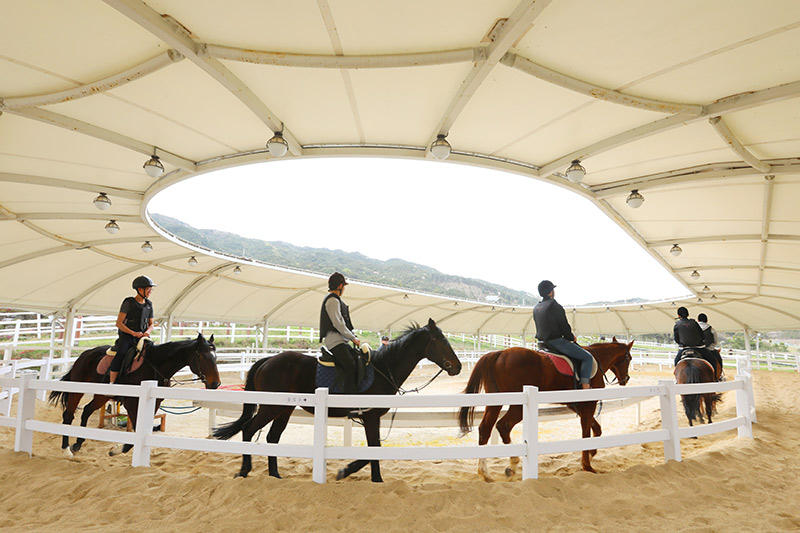 Jangsu Horse Riding Course