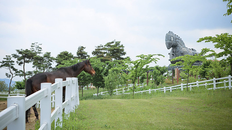 長水乗馬体験場