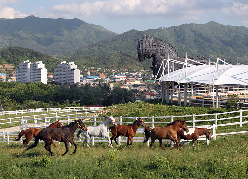 Jangsu Horse Riding Course