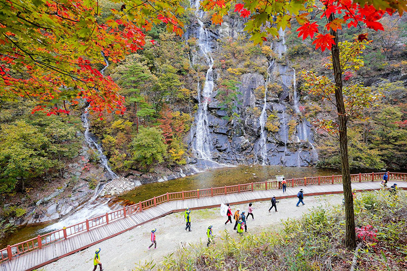 傍花洞家庭度假村，修养林