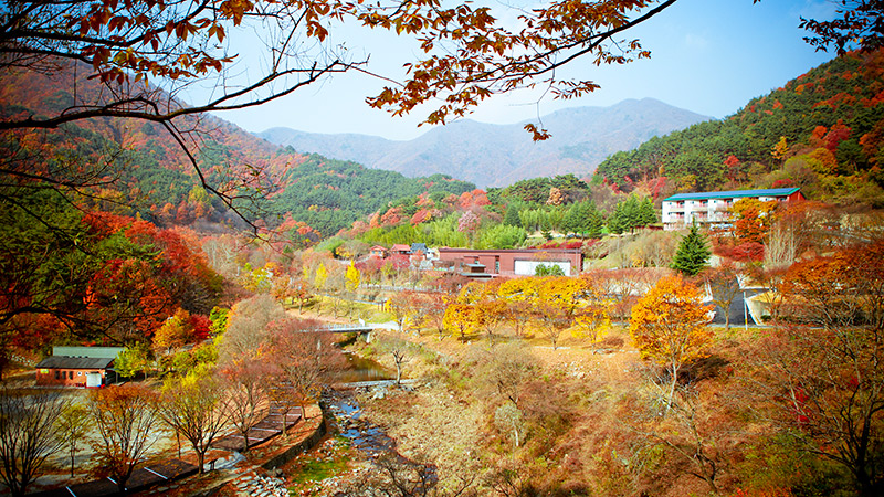 Làng du lịch gia đình Banghwa-dong