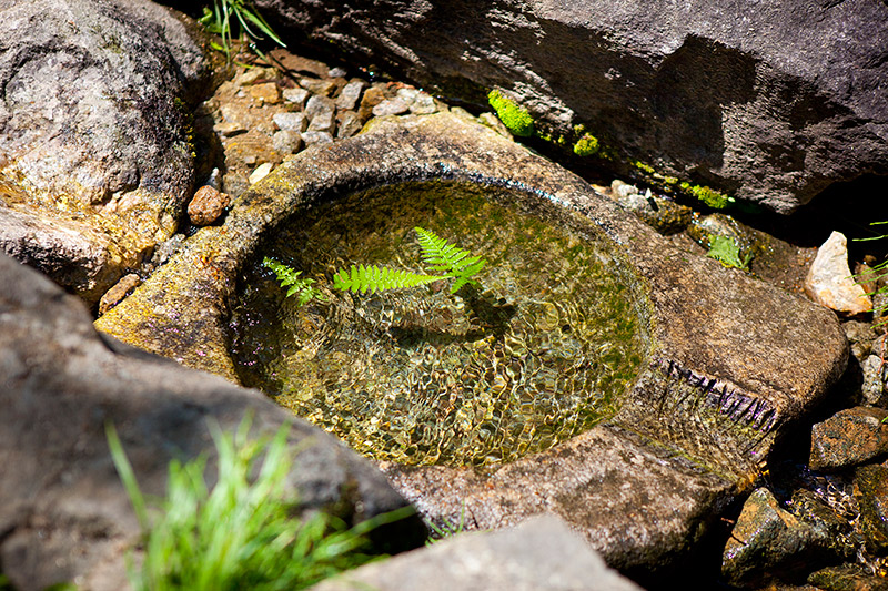 Tteunbongsaem Spring Eco Tourist Site