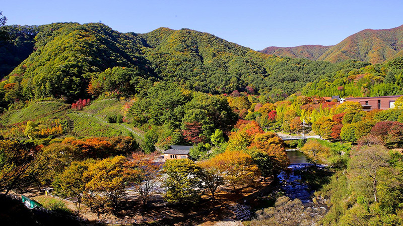 Làng du lịch gia đình Banghwa-dong