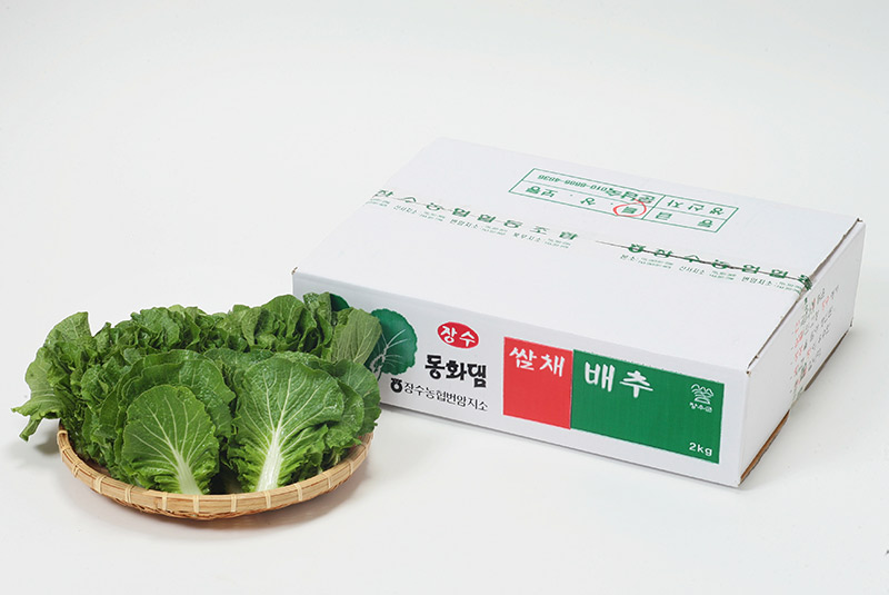 Ssamchaeso (Lettuce, Ssambaechu)