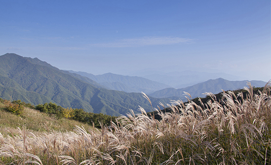 Jangansan Mountain