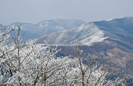 Palgongsan Mountain