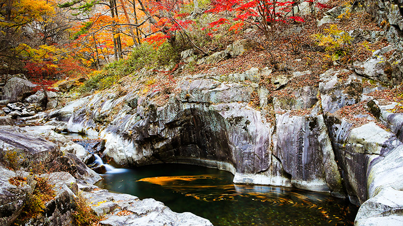 徳山渓谷(龍沼)