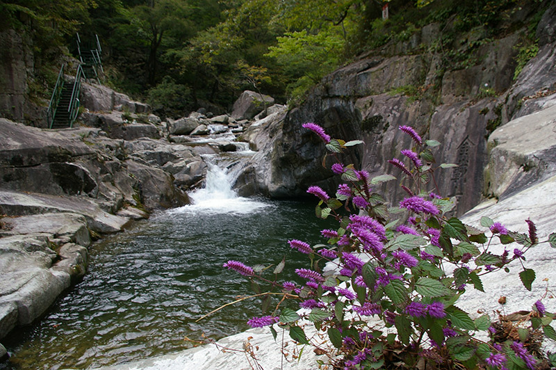 德山溪谷(龙沼)