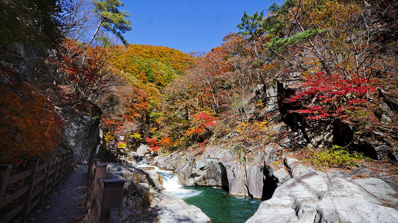 德山溪谷(龙沼)