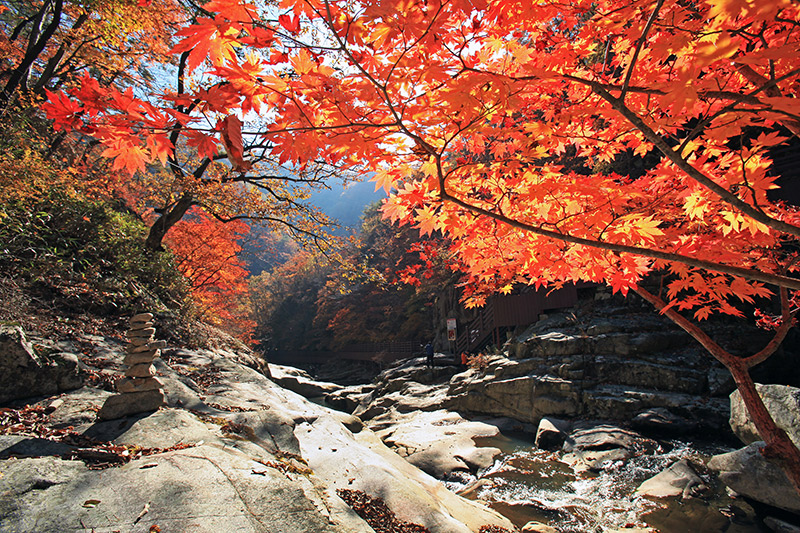 德山溪谷(龙沼)