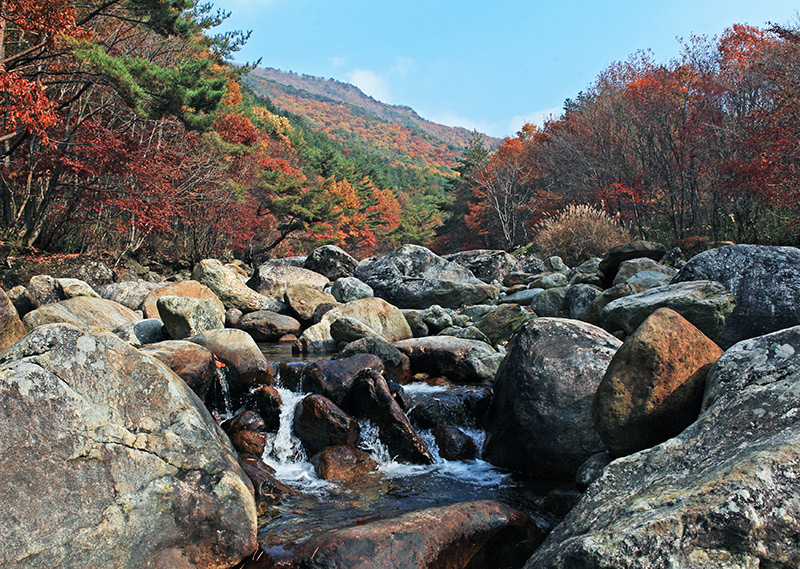 Thung lũng Took-dong