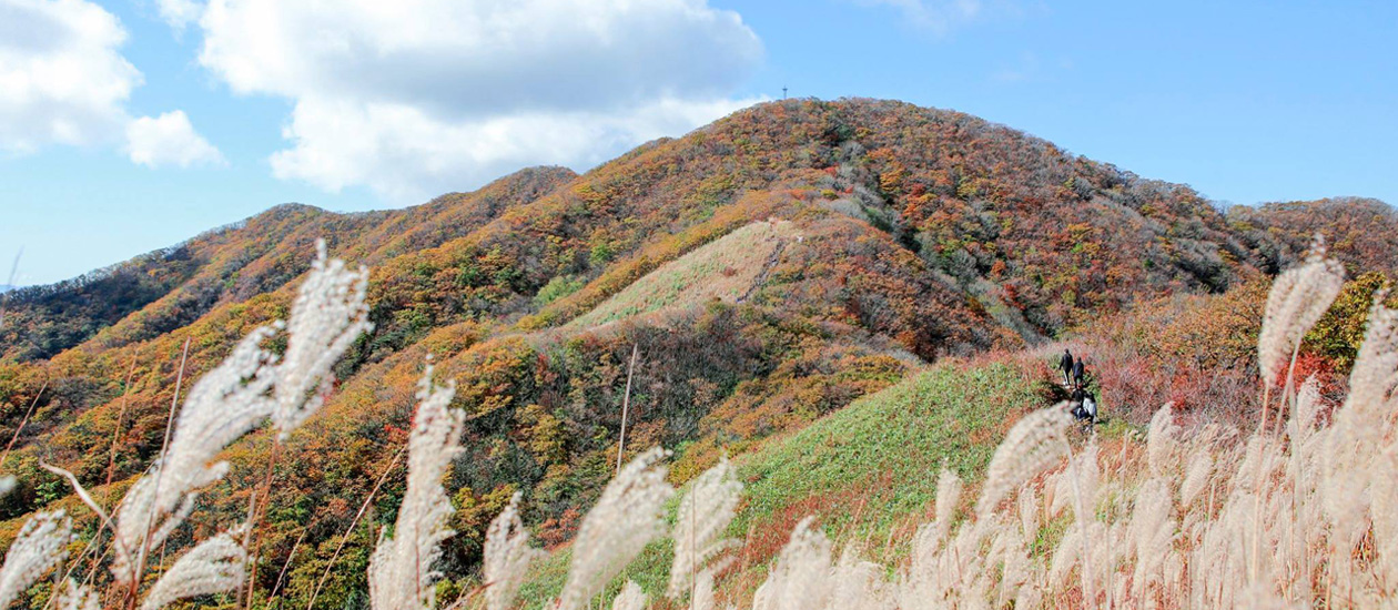 장수장안산 마실길 사진1