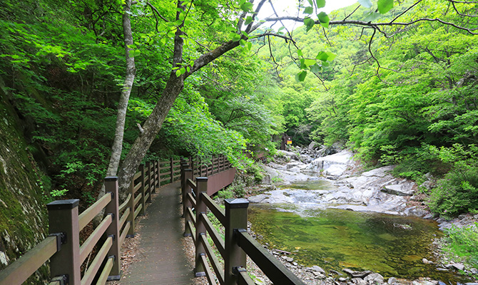 덕산계곡 사진2
