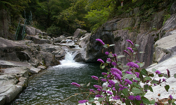 덕산계곡 사진3