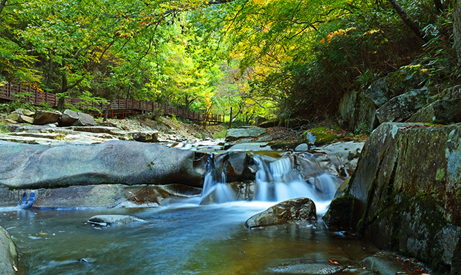 덕산계곡 사진4