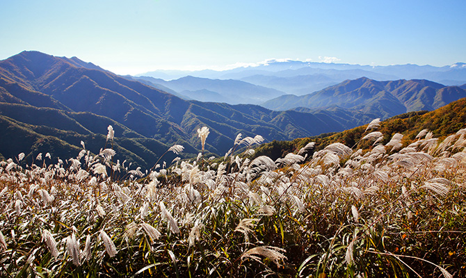 장안산 사진1