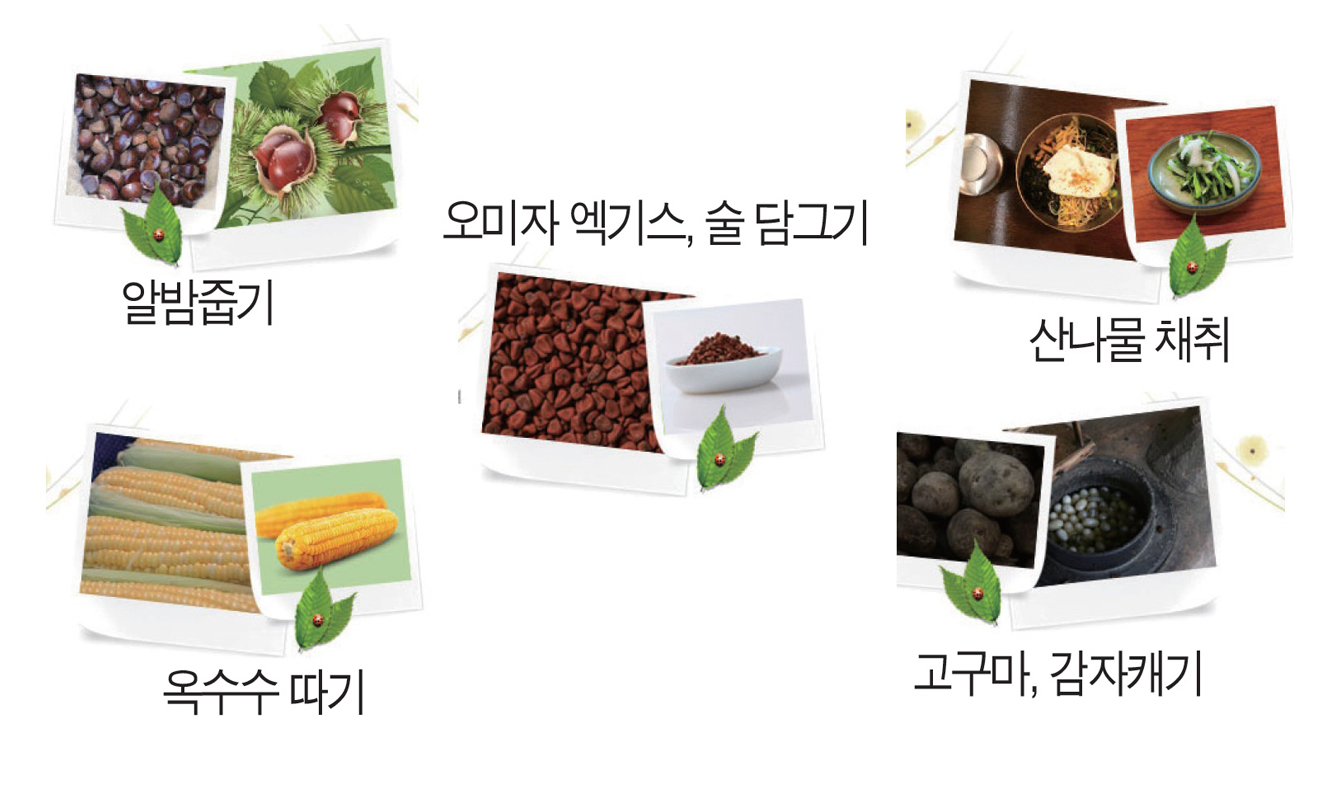 월현(땡양지)산촌생태마을 사진4