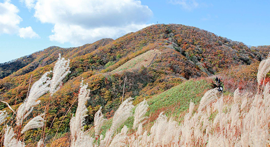 장안산군립공원사진