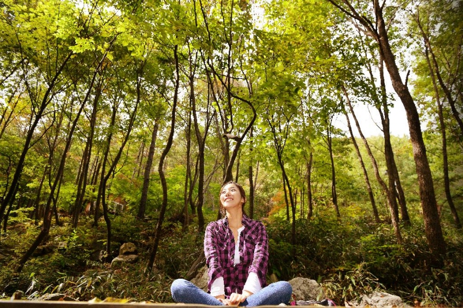 와룡자연휴양림 사진16