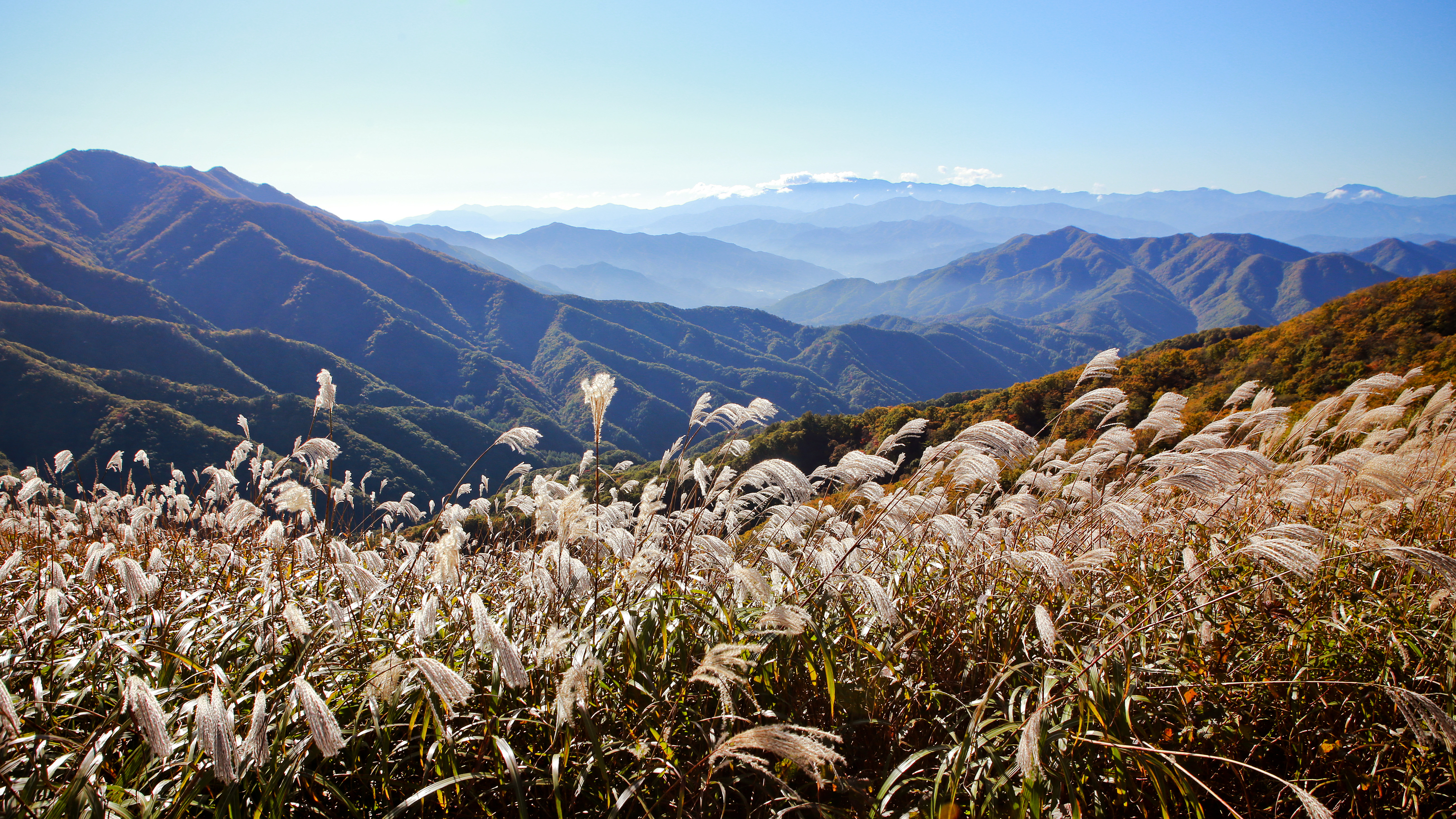 장안산 사진