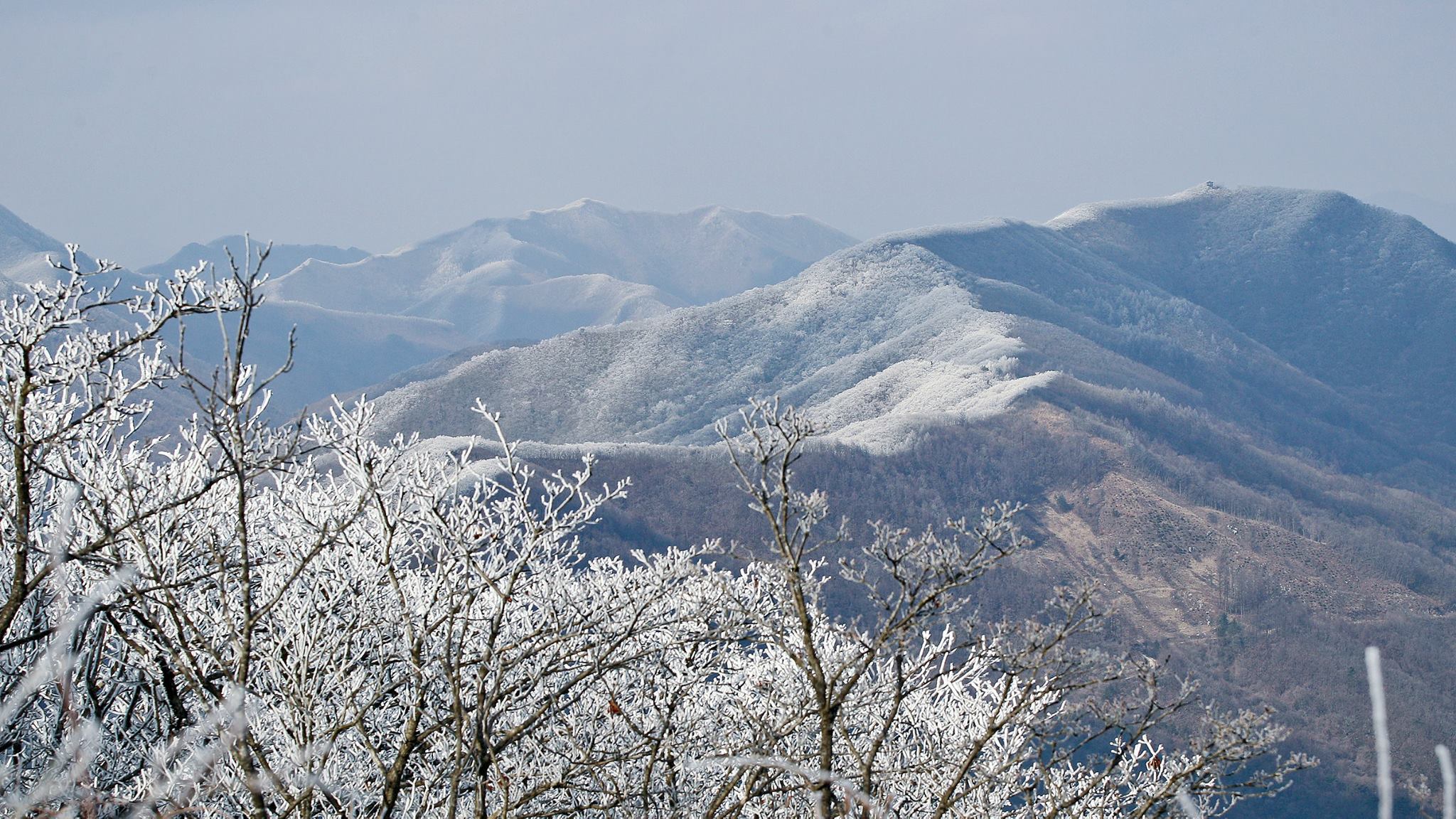 팔공산 사진