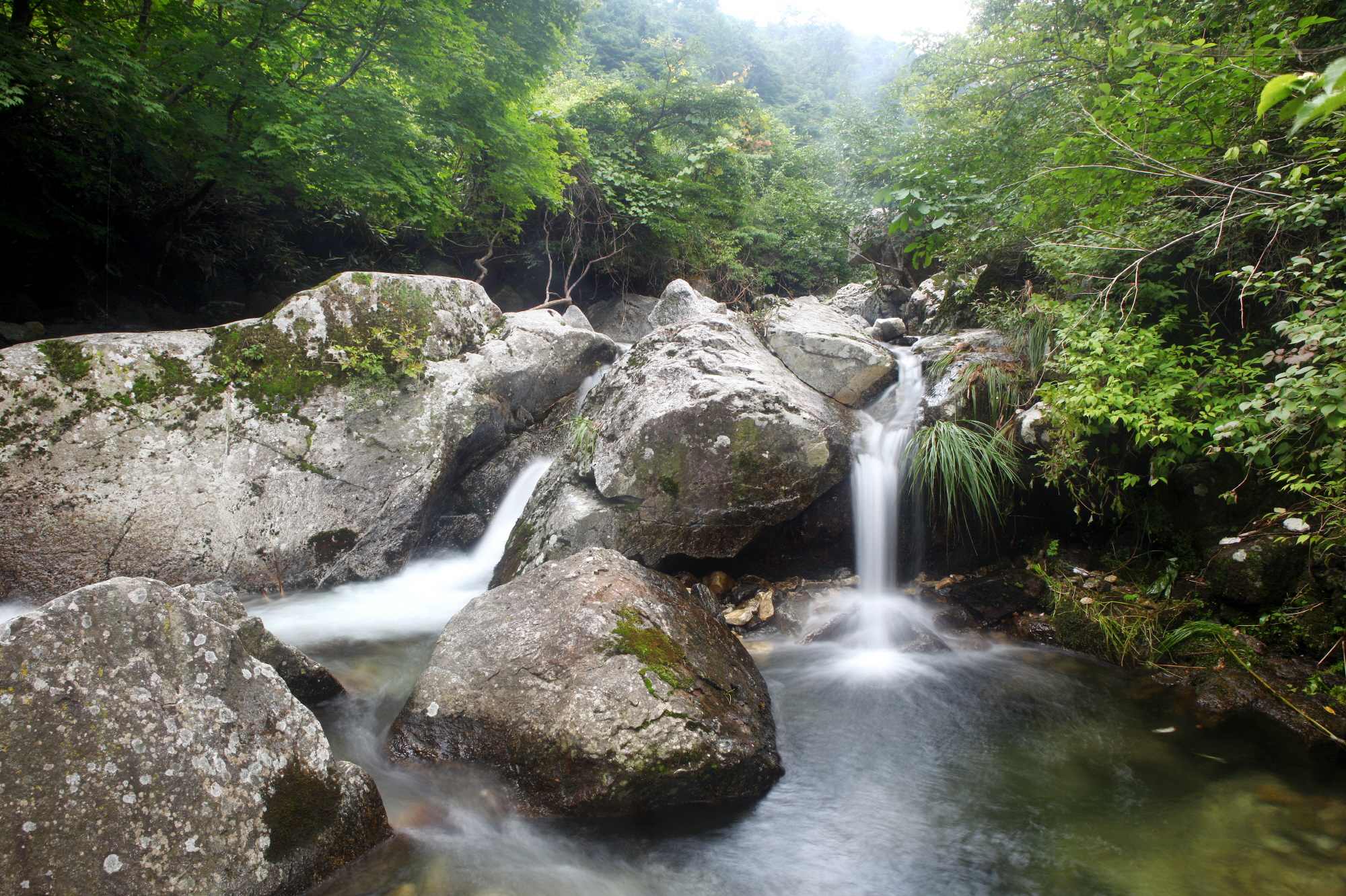 지지계곡 사진(4)