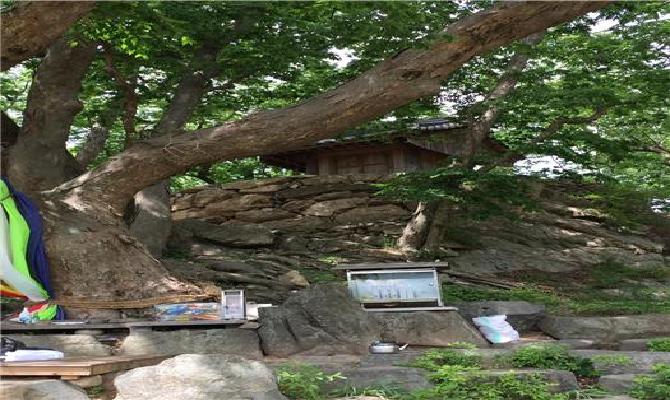 연평리새터마을당집 대표사진