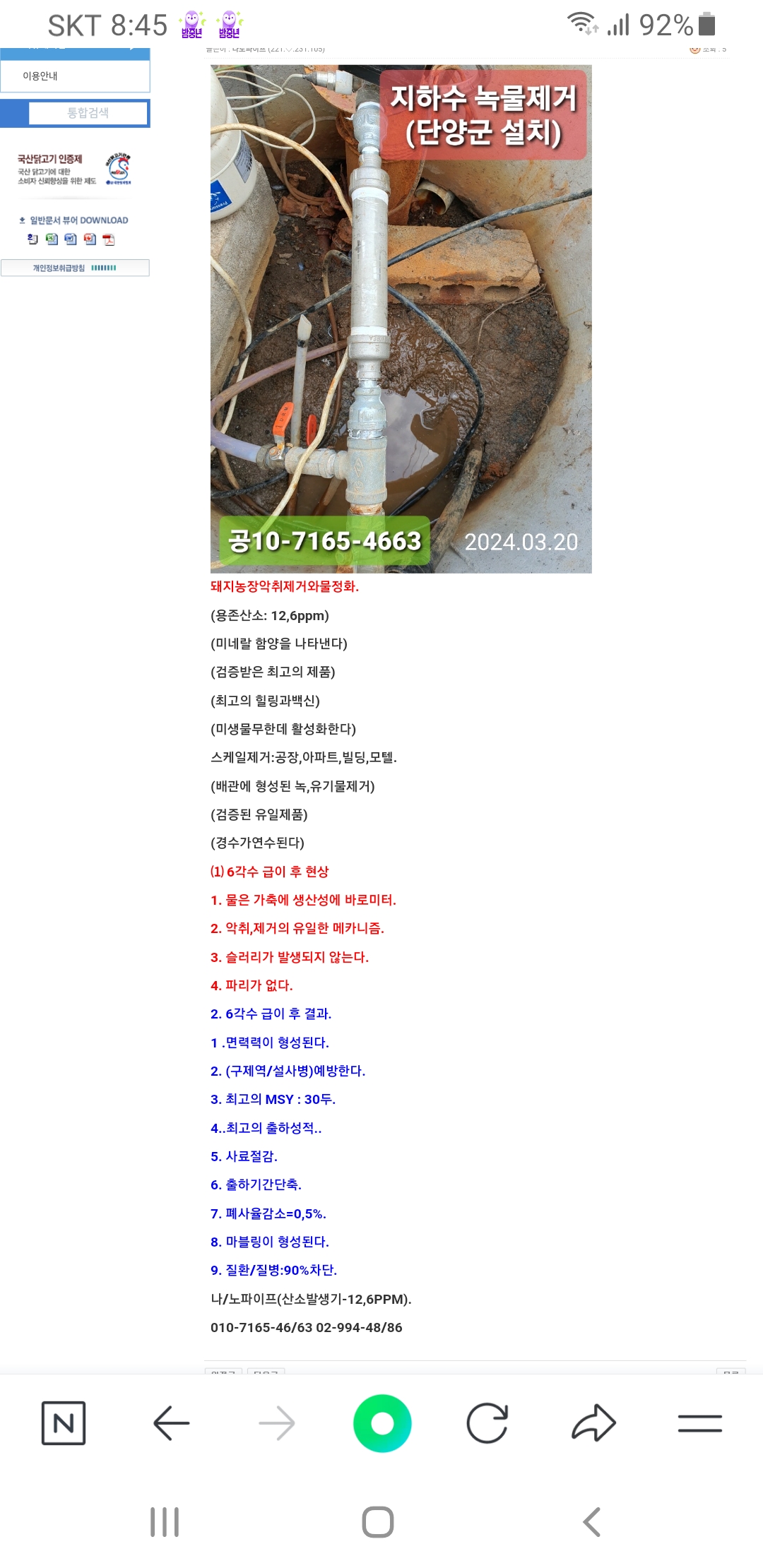 돼지에게6각수급이후현상. 사진(1)