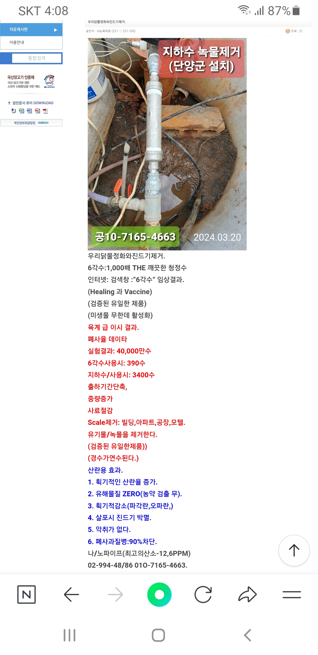 돼지에게6각수급이후현상. 사진(2)