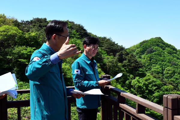 최훈식 장수군수, 봉화산 산철쭉 군락지 찾아 생육환경개선 주문… 대표사진