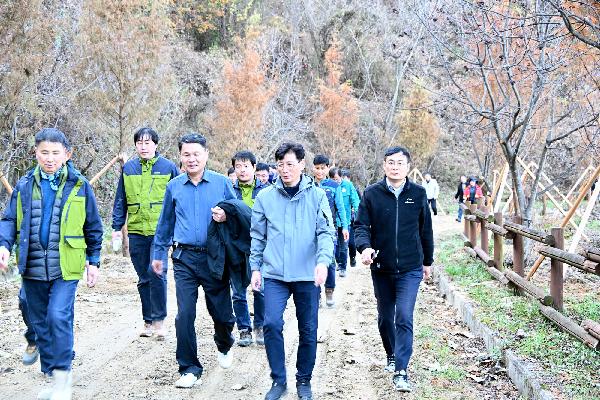 장수군, 전국 최장 10km 메타세쿼이아길 조성 대표사진