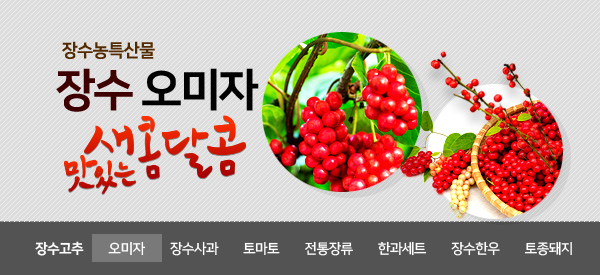 장수농특산물  
장수 오미자
맛있는 새콤달콤
장소고추 오미자 장수사과 토마토 전통장류 한과세트 장수한우 토종돼지