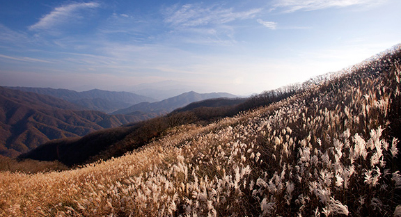 장수장안산 마실길