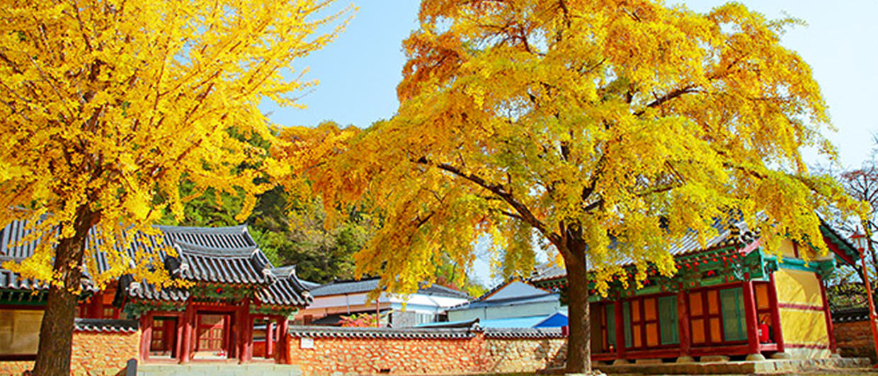 장수향교 상세이미지