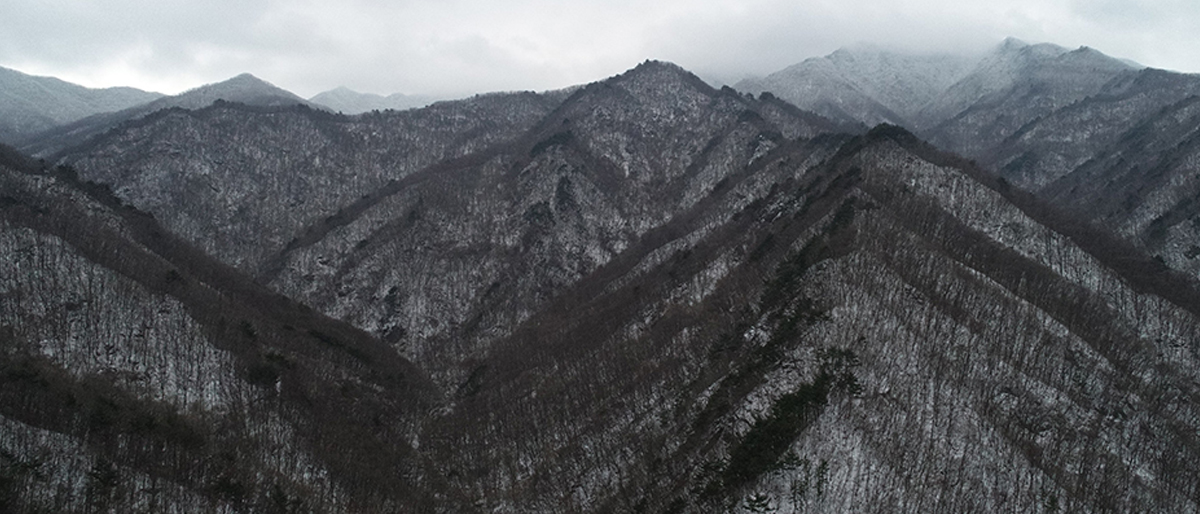 사행로