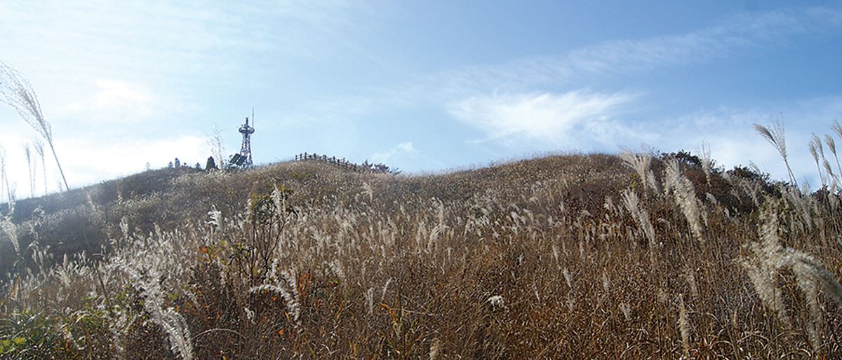 봉화산 봉화