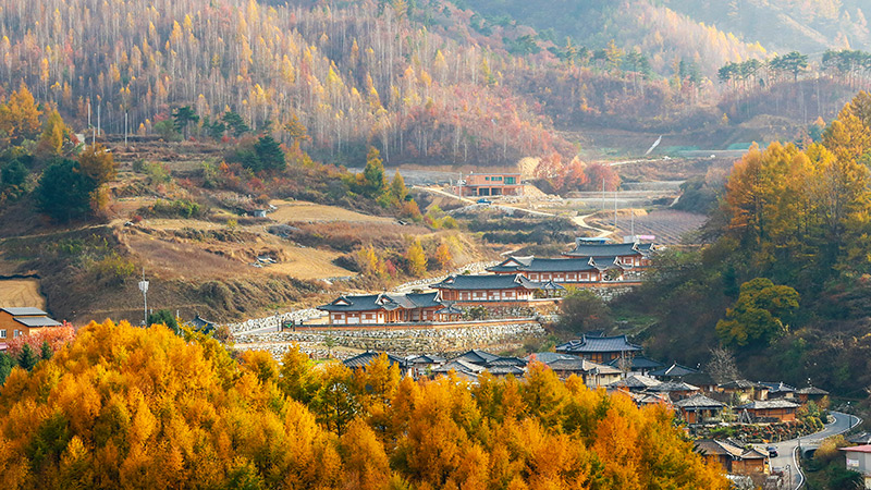 Tourist spot ng Daeguk