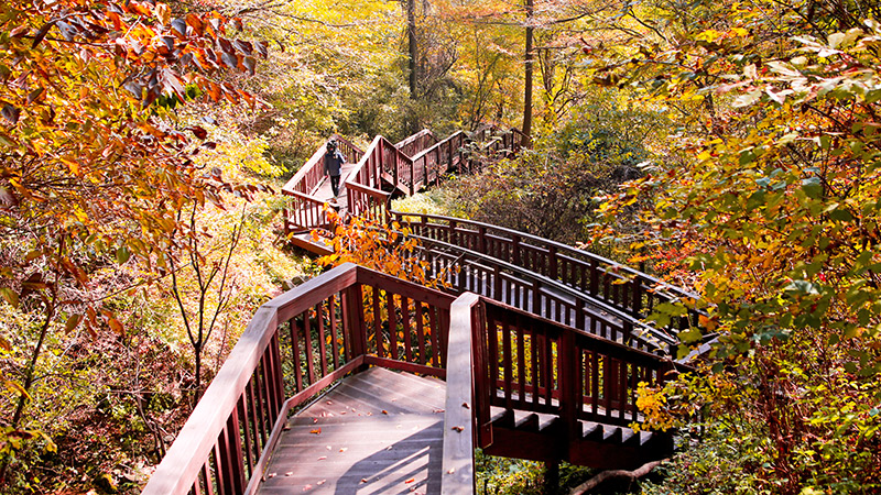 Tteunbongsaem Ecotourism site