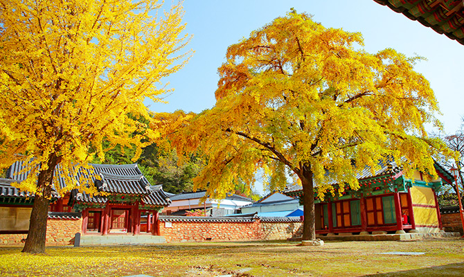장수향교 사진3
