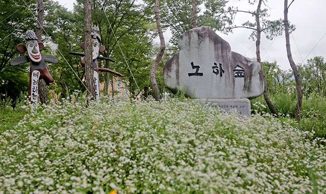 노하숲 사진1