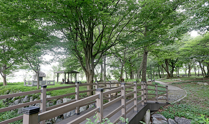 노하숲 사진3