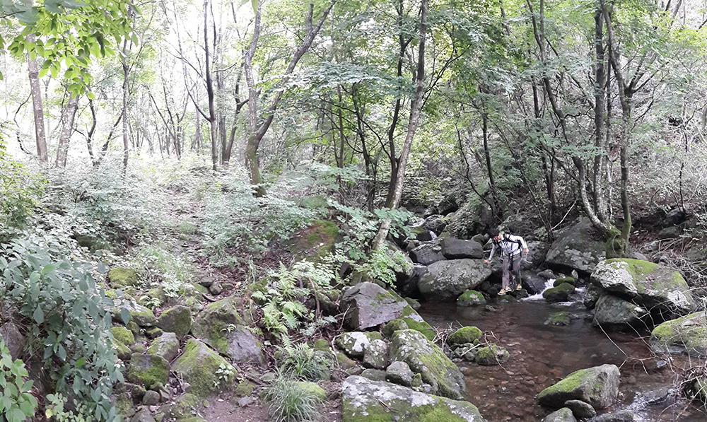 대적골 철생산유적 사진1