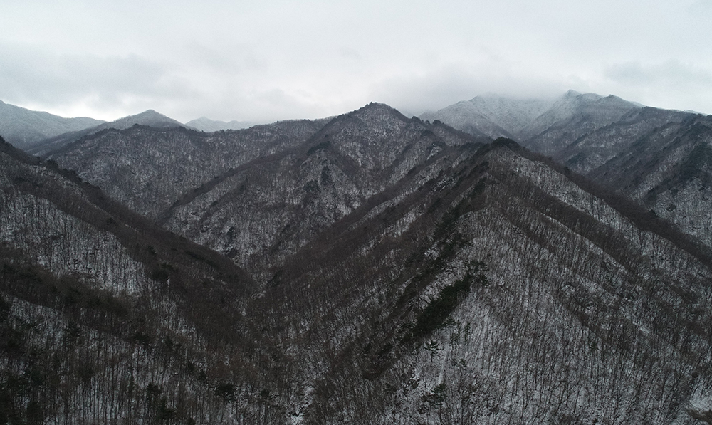 사행로 사진2