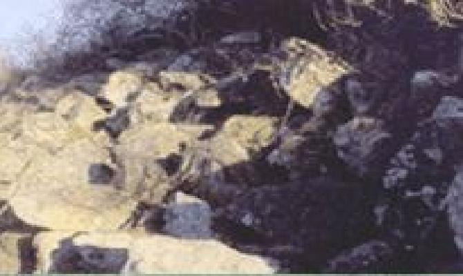 사현산성지 대표사진