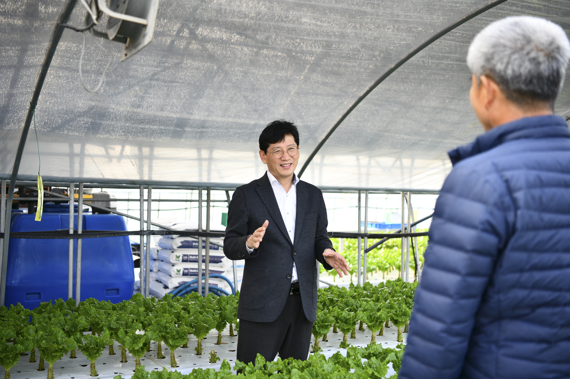 최훈식 장수군수, 상추재배 농가 찾아 애로 청취 및 기술시범사업 효과 점검 사진(2)