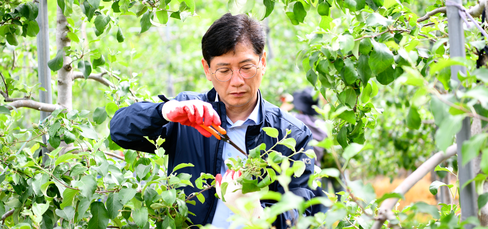 [현장행정] 농업정책과 농촌 일손돕기